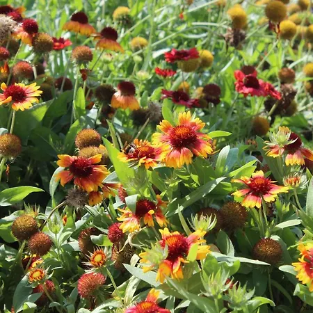 Valencia Gardens Luxury Appartamento