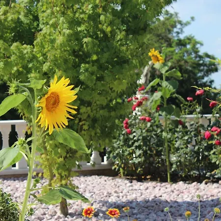 Appartamento Valencia Gardens Luxury