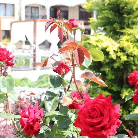 Appartamento Valencia Gardens Luxury