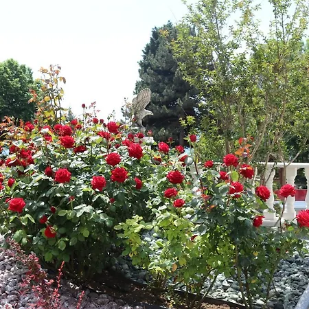 Valencia Gardens Luxury Несебър