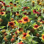 Valencia Gardens Luxury Διαμέρισμα