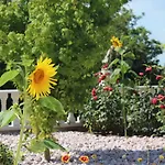 Διαμέρισμα Valencia Gardens Luxury