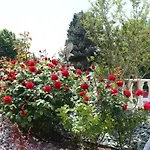 Valencia Gardens Luxury Νεσέμπαρ