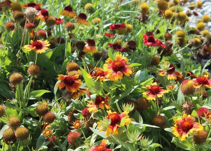 Valencia Gardens Luxury アパート