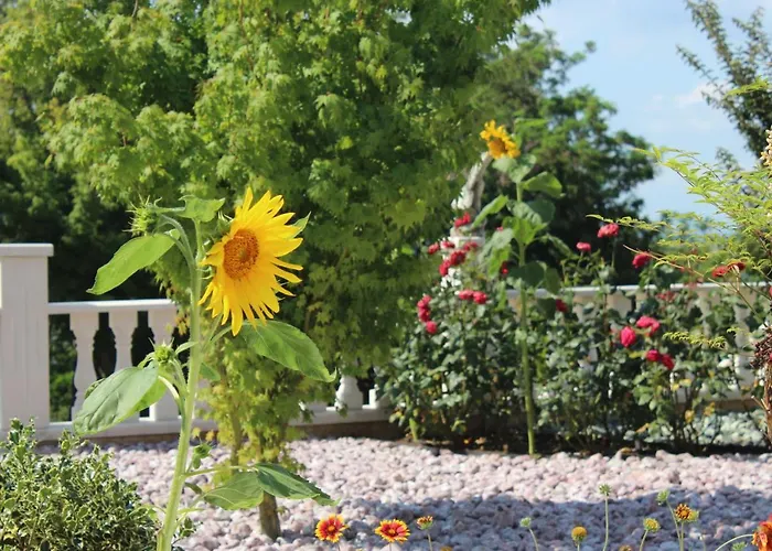 Apartment Valencia Gardens Luxury