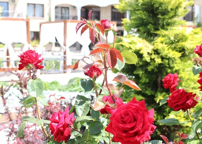 アパート Valencia Gardens Luxury